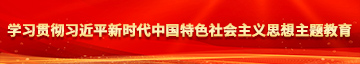 白丝学妹被爆c学习贯彻习近平新时代中国特色社会主义思想主题教育