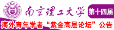 网站,靠逼南京理工大学第十四届海外青年学者紫金论坛诚邀海内外英才！